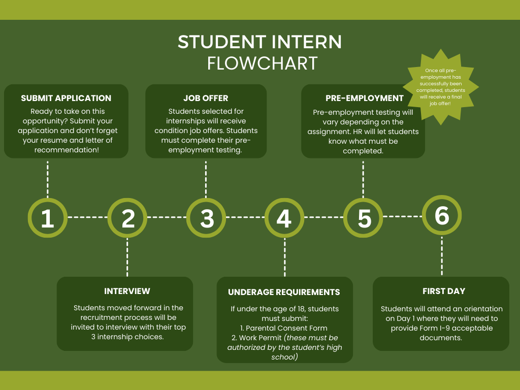 Student Intern Flowchart