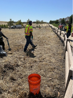 people walking around field putting trash in buckets