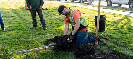 Man planting tree