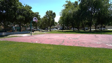 A basketball court with a hoop, surrounded by palm trees and a grassy park area under a clear sky.