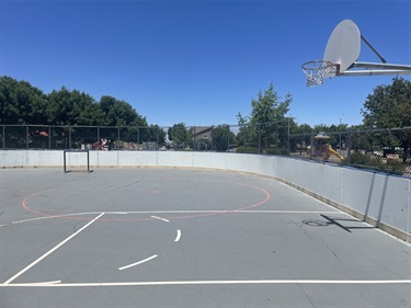 Outdoor hockey rink with a smooth playing surface, perimeter boards, basketball hoops, and painted court markings, surrounded by trees and open park space.