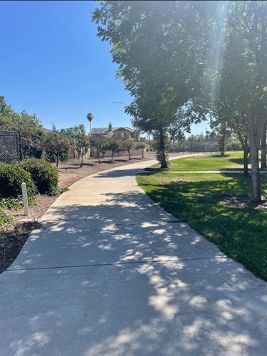 Curving concrete walking path through a landscaped park with mature trees, green lawns, and dappled shade on a sunny day.