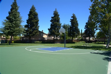 An empty half-court basketball court with green and gray surfacing, bordered by trees, with houses visible in the background.