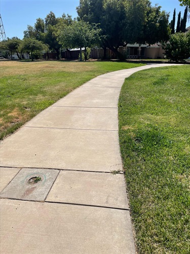 Concrete walking path winding through a community park, bordered by open grassy areas, mature shade trees, and landscaped park space under a clear blue sky.