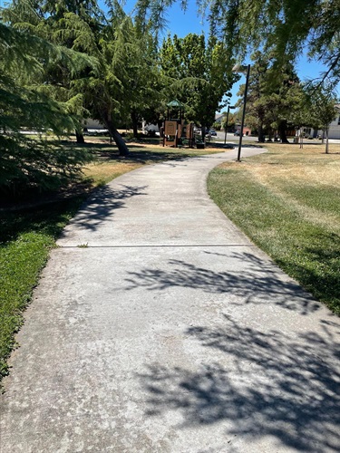 Concrete walking path winding through a community park, bordered by open grassy areas, mature shade trees, and landscaped park space, with a playground visible in the distance under a clear blue sky.