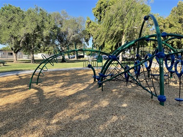 Nature-inspired climbing playground with arched overhead bars, rope climbing nets, balance elements, and suspended play features on a wood chip surface, surrounded by mature trees and open grassy areas in a community park.