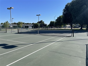 Outdoor tennis courts with painted playing surfaces, nets, and overhead lighting, surrounded by fencing, mature trees, and open park space under a clear blue sky.