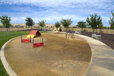 A dog playground area with a small red climbing structure, wood-chip surfacing, and additional play equipment, enclosed by a curved concrete border with houses in the background.