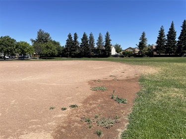 Baseball field with a dirt infield and grassy outfield, bordered by mature trees and open park space under a clear blue sky.