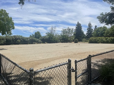 Fenced outdoor roller hockey rink with a smooth playing surface, surrounded by chain-link fencing, mature trees, landscaped shrubs, and open park space under a partly cloudy sky.