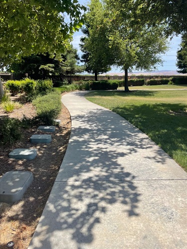 Paved walkway lined with shrubs and shaded by tree branches, leading through a grassy lawn.