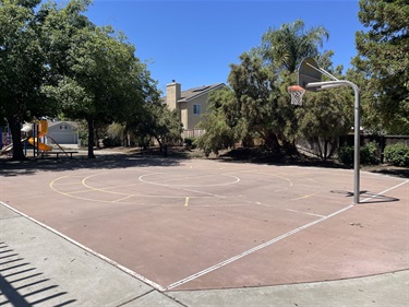 Outdoor basketball half court with a single hoop, surrounded by mature trees and adjacent residential homes.