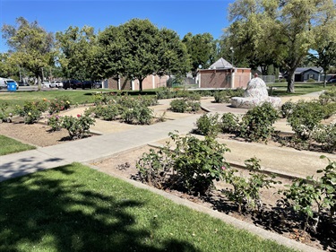 Formal rose garden with landscaped flower beds, paved walkways, and a central fountain, surrounded by mature trees and open grassy areas in a community park.