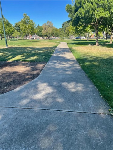 Concrete walking path winding through a community park, bordered by open grassy lawns, mature shade trees, and landscaped areas under a clear blue sky.