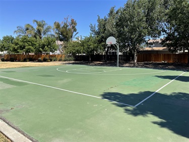 Green outdoor basketball half-court with a hoop, bordered by wooden fences and trees.