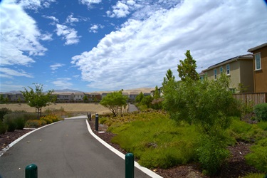 Paved walking path winding through landscaped planting beds with young trees and native vegetation, bordered by open natural scenery and nearby residential homes under a partly cloudy sky.