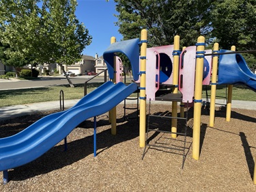 Playground with blue slides, climbing structures, elevated platforms, and play tunnels on a wood fiber safety surface, surrounded by mature trees and open park space.