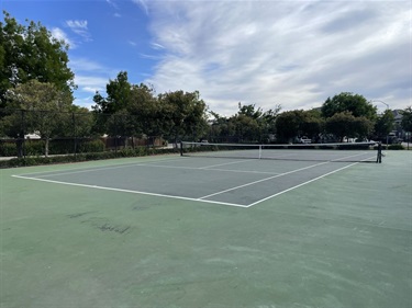 Outdoor tennis court with a central net, painted court lines, and surrounding mature trees and open park space under a partly cloudy sky.