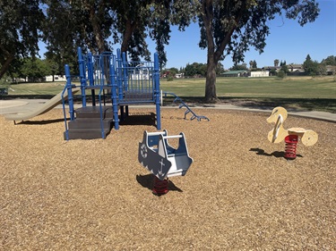 Playground with a small climbing structure, slide, spring riders, and a seesaw on a wood chip surface, surrounded by open grassy areas and mature trees in a community park.