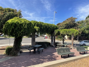 Trees pruned into umbrella-shaped canopies over picnic tables and benches on a brick patio, with a street light and blue sky in the background.
