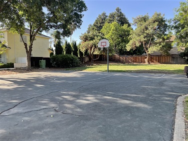 Empty basketball court with a hoop, bordered by a wooden fence and tall trees, with a house partially visible in the background.
