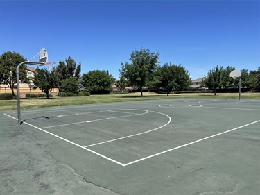 Full outdoor basketball court with two hoops, painted court lines, and surrounding grassy areas, mature trees, and open park space.