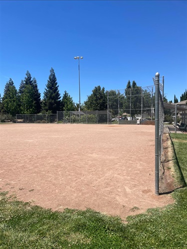 Baseball field with a dirt infield, grassy outfield, chain-link fencing, and field lighting, surrounded by mature trees and open park space under a clear blue sky.