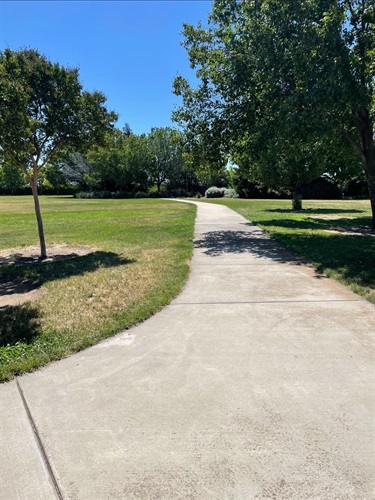 Concrete walking path winding through a community park, bordered by open grassy lawns, mature shade trees, and landscaped areas under a clear blue sky.