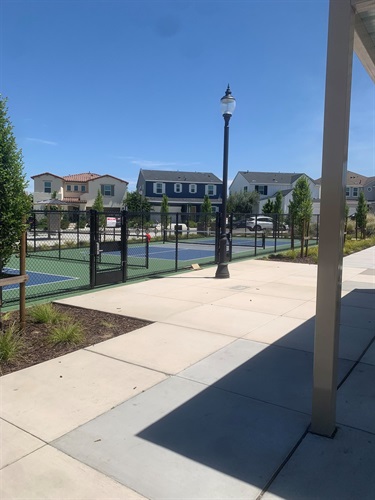 Concrete walkway beside a covered picnic pavilion, overlooking fenced pickleball courts with nearby benches, landscaped planting beds, decorative light poles, and residential homes in the background under a clear blue sky.