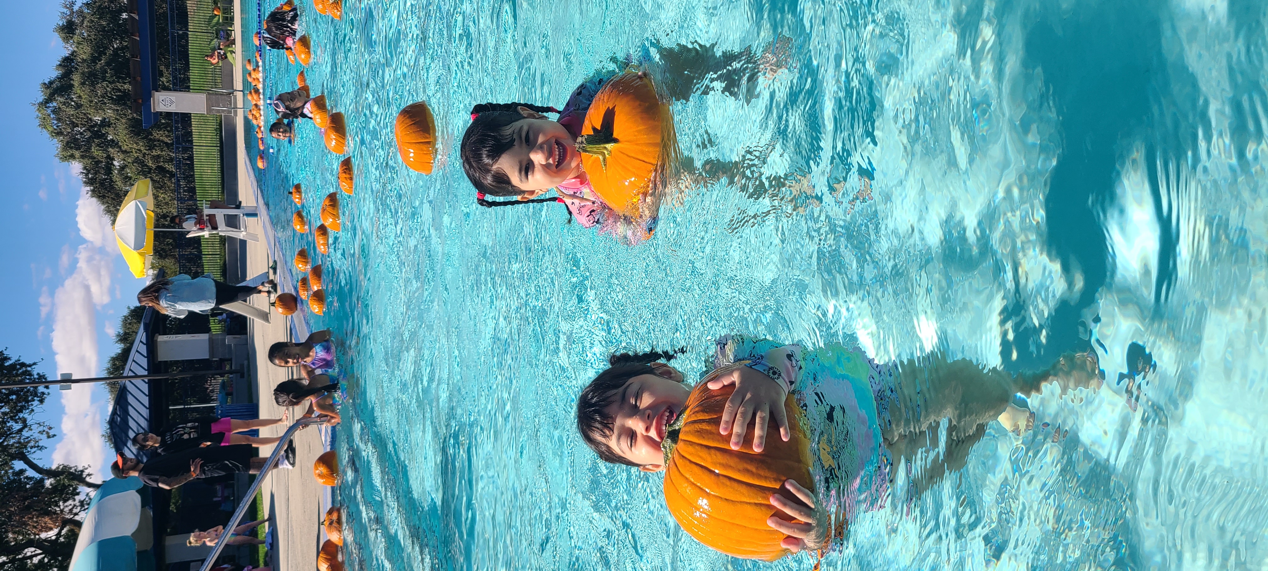 AQU-PUMPKIN-DIVE-2.jpg