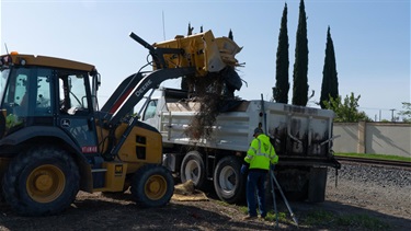 3-29-25-Community-Clean-Up-Event-10.jpeg