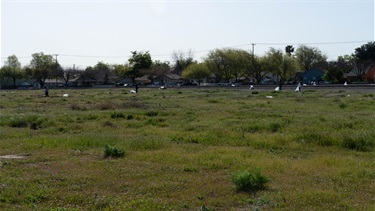 3-29-25-Community-Clean-Up-Event-8.jpeg