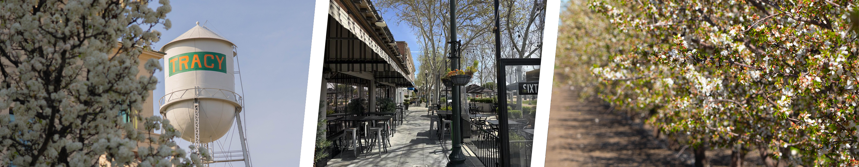 Blooming flowers with water tower behind 